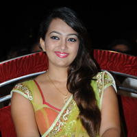 Ester Noronha Hot Saree Images at Bheemavaram Bullodu Audio Release | Picture 685028