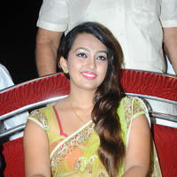 Ester Noronha Hot Saree Images at Bheemavaram Bullodu Audio Release | Picture 685041