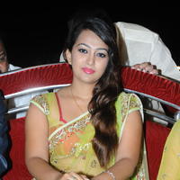 Ester Noronha Hot Saree Images at Bheemavaram Bullodu Audio Release | Picture 685050