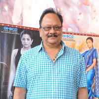 Krishnam Raju - Chandee Movie Press Meet Photos | Picture 625805
