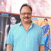 Krishnam Raju - Chandee Movie Press Meet Photos | Picture 625806