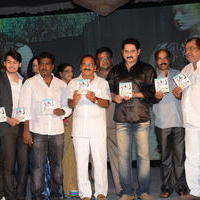Its My Life Movie Audio Launch Photos | Picture 628711