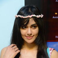 Adah Sharma - Satya 2 Premiere Show Pictures | Picture 629862