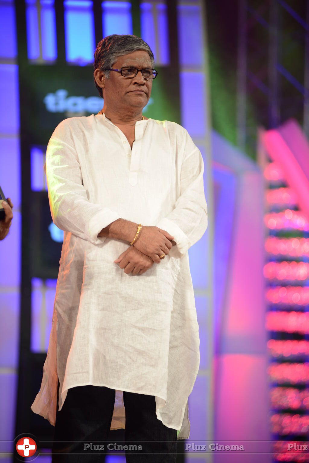 Tanikella Bharani - Big Telugu Entertainment Awards 2013 Photos | Picture 631278