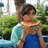 Swathi (Actress) - Karthikeya Movie Latest Photos | Picture 636006