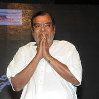 Kota Srinivasa Rao - Prathinidhi Movie Audio Release Function Photos | Picture 637049