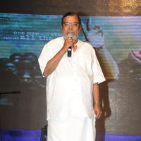 Kota Srinivasa Rao - Prathinidhi Movie Audio Release Function Photos | Picture 637074