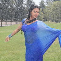 Neelam Upadhyay Hot Saree Images | Picture 637950