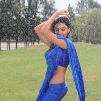 Neelam Upadhyay Hot Saree Images | Picture 637952