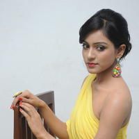 Vithika Sheru - Prema Ishq Kadhal Movie Audio Success Meet Stills | Picture 638455