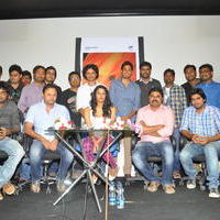 VasanthaYanam Movie Press Meet Photos | Picture 642409