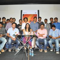 VasanthaYanam Movie Press Meet Photos | Picture 642411