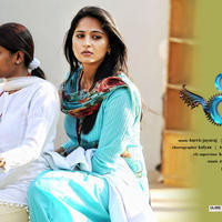 Varna Movie Latest Wallpapers | Picture 644599