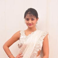 Nikitha Narayan Hot Saree Photos | Picture 645604
