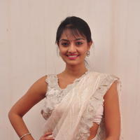 Nikitha Narayan Hot Saree Photos | Picture 645607