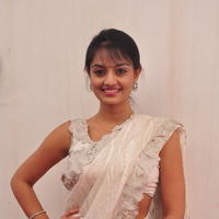 Nikitha Narayan Hot Saree Photos | Picture 645608