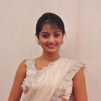 Nikitha Narayan Hot Saree Photos | Picture 645609