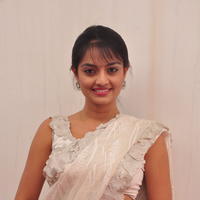Nikitha Narayan Hot Saree Photos | Picture 645610
