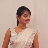 Nikitha Narayan Hot Saree Photos | Picture 645612