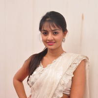 Nikitha Narayan Hot Saree Photos | Picture 645633