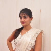 Nikitha Narayan Hot Saree Photos | Picture 645635