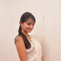 Nikitha Narayan Hot Saree Photos | Picture 645642