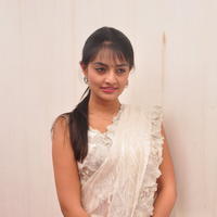 Nikitha Narayan Hot Saree Photos | Picture 645644