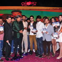 Dil Diwana Movie Audio Launch Photos | Picture 646835