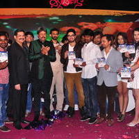 Dil Diwana Movie Audio Launch Photos | Picture 646839