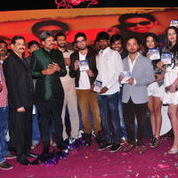Dil Diwana Movie Audio Launch Photos | Picture 646842