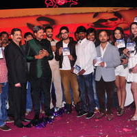 Dil Diwana Movie Audio Launch Photos | Picture 646843