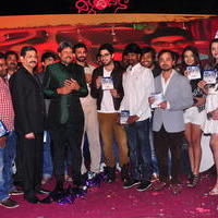 Dil Diwana Movie Audio Launch Photos | Picture 646844