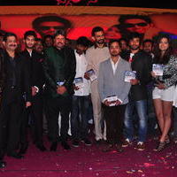 Dil Diwana Movie Audio Launch Photos | Picture 646846