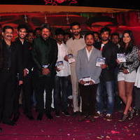Dil Diwana Movie Audio Launch Photos | Picture 646849