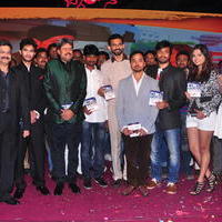 Dil Diwana Movie Audio Launch Photos | Picture 646850