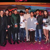 Dil Diwana Movie Audio Launch Photos | Picture 646851