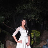 Kritika Singhal Hot Images at Dil Deewana Audio Launch | Picture 646663