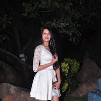 Kritika Singhal Hot Images at Dil Deewana Audio Launch | Picture 646676