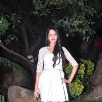 Kritika Singhal Hot Images at Dil Deewana Audio Launch | Picture 646696