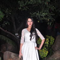 Kritika Singhal Hot Images at Dil Deewana Audio Launch | Picture 646697