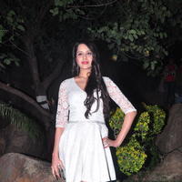 Kritika Singhal Hot Images at Dil Deewana Audio Launch | Picture 646705