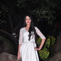 Kritika Singhal Hot Images at Dil Deewana Audio Launch | Picture 646706