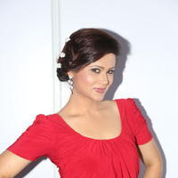 Shilpa Chakravarthy Hot Photos at Billa Ranga Audio Launch | Picture 647257