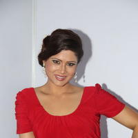 Shilpa Chakravarthy Hot Photos at Billa Ranga Audio Launch | Picture 647269
