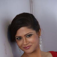Shilpa Chakravarthy Hot Photos at Billa Ranga Audio Launch | Picture 647318