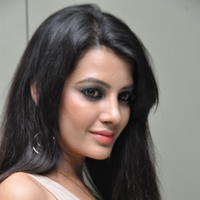Diksha Panth at Madhumati Movie Audio Launch Stills | Picture 649137