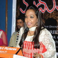 Madhumathi Movie Audio Launch Photos | Picture 648964