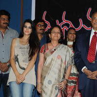 Madhumathi Movie Audio Launch Photos | Picture 648968