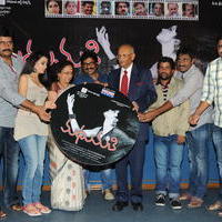 Madhumathi Movie Audio Launch Photos | Picture 648970