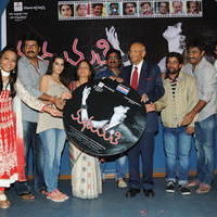 Madhumathi Movie Audio Launch Photos | Picture 648972